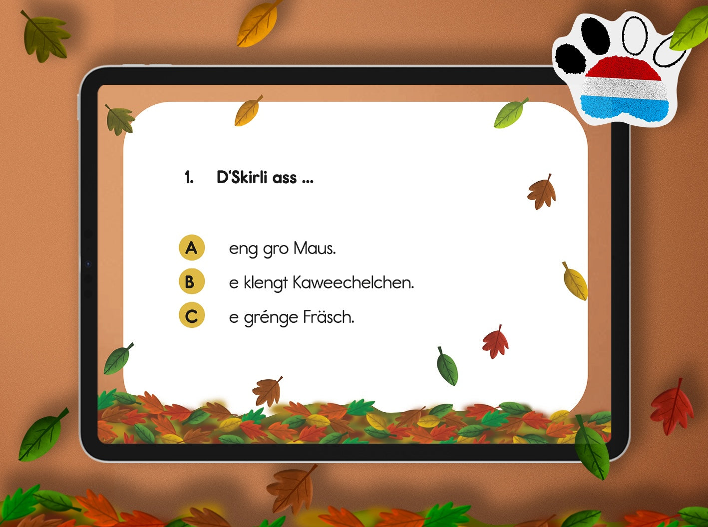 Quiz - Skirli complet wibbeleg | LUX