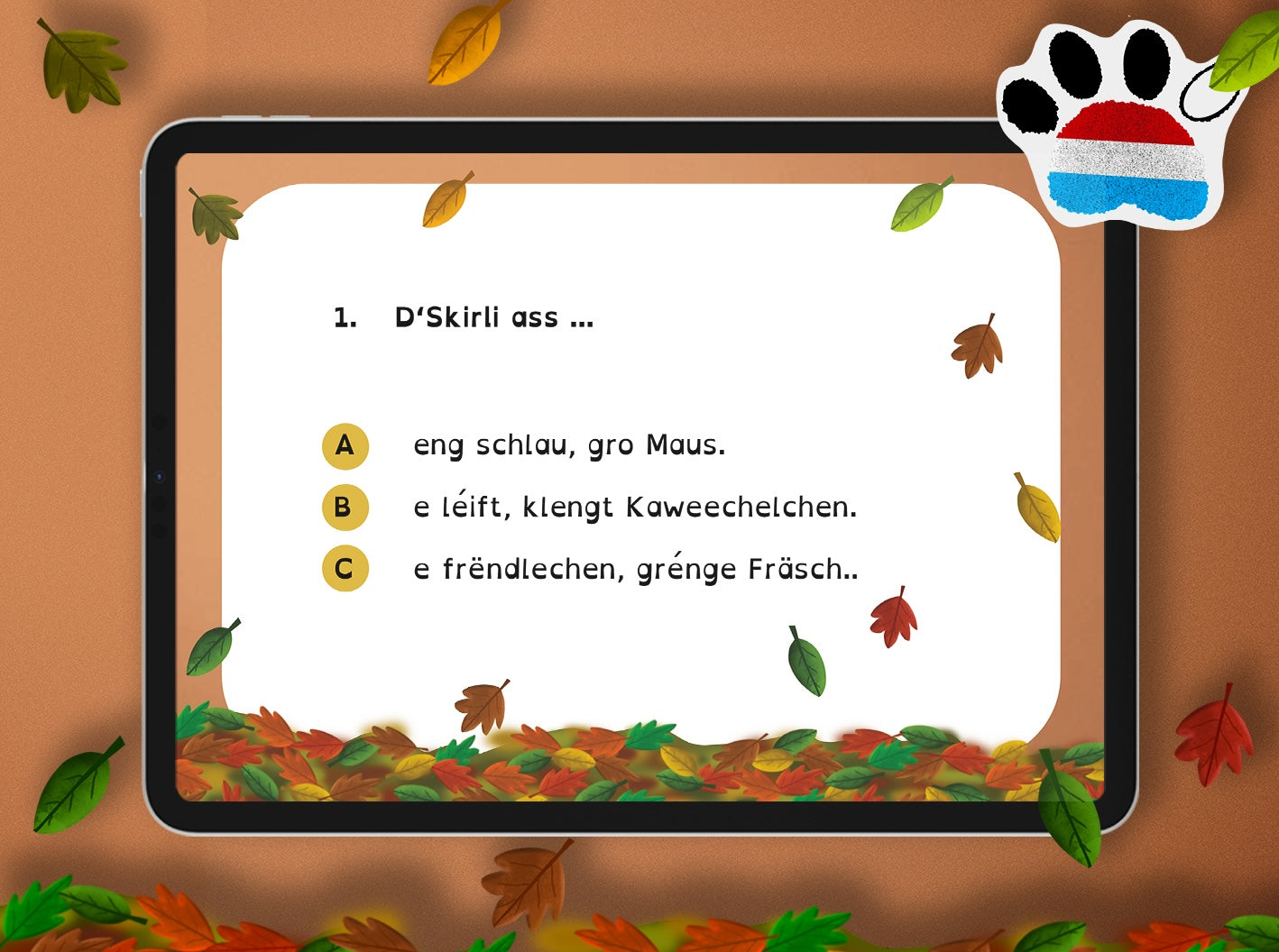 Quiz - Skirli complet wibbeleg | LUX