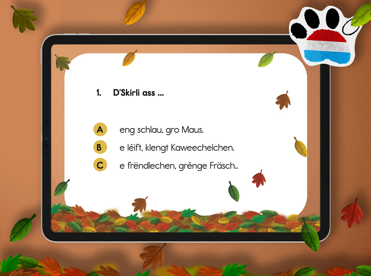 Quiz - Skirli complet wibbeleg | LUX