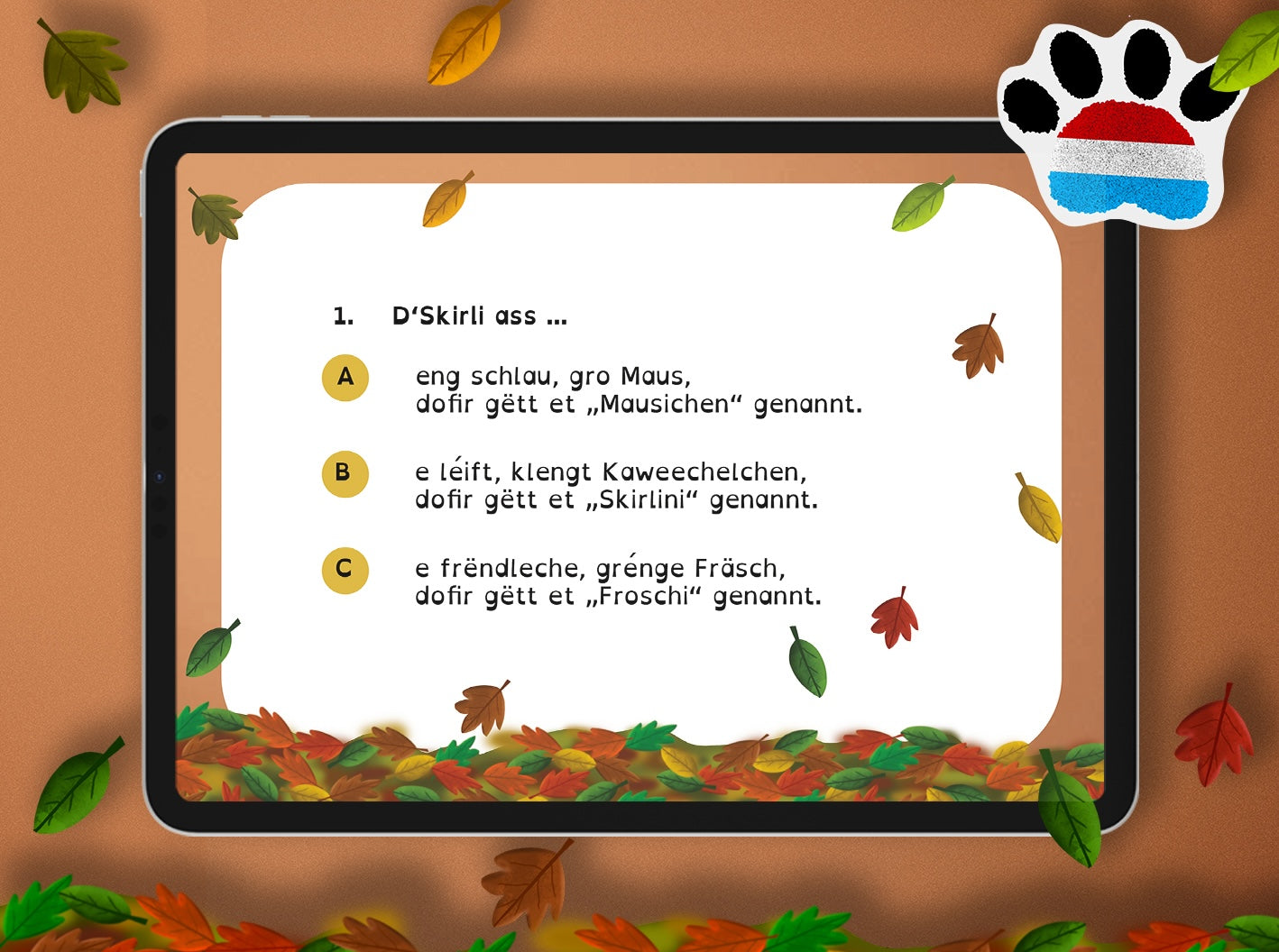 Quiz - Skirli complet wibbeleg | LUX